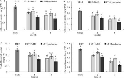 Improving Photosynthetic Capacity, Alleviating Photosynthetic Inhibition and Oxidative Stress Under Low Temperature Stress With Exogenous Hydrogen Sulfide in Blueberry Seedlings